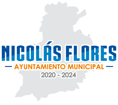 Municipio Nicolás Flores
